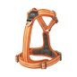 Preview: DOG Copenhagen V3 Comfort Walk Air Orange Sun